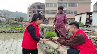 平安产险泉州中心支公司科技赋能护春耕，志愿帮扶暖田埂